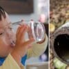 A child drinking a glass of water next to an image of a lead pipe coming from the ground